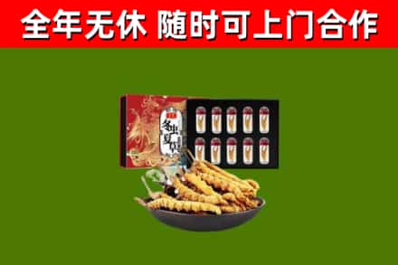 扬中回收冬虫夏草价格